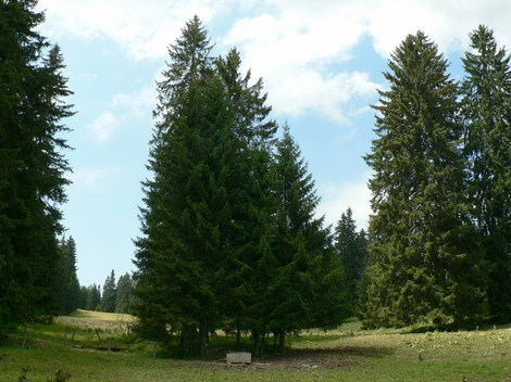 Les Fourgs Le Toit Du Haut Doubs Sur Le Sentier Des Bornes Aire