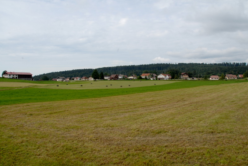 DSC_0009_md
