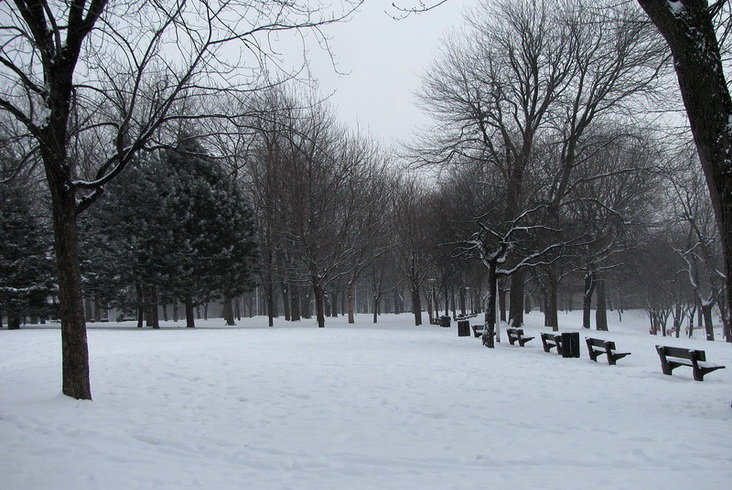 Parc Lafontaine_jc1