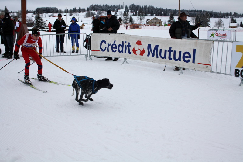 Neige et chiens 006_mg