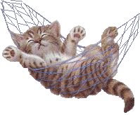 Chat093