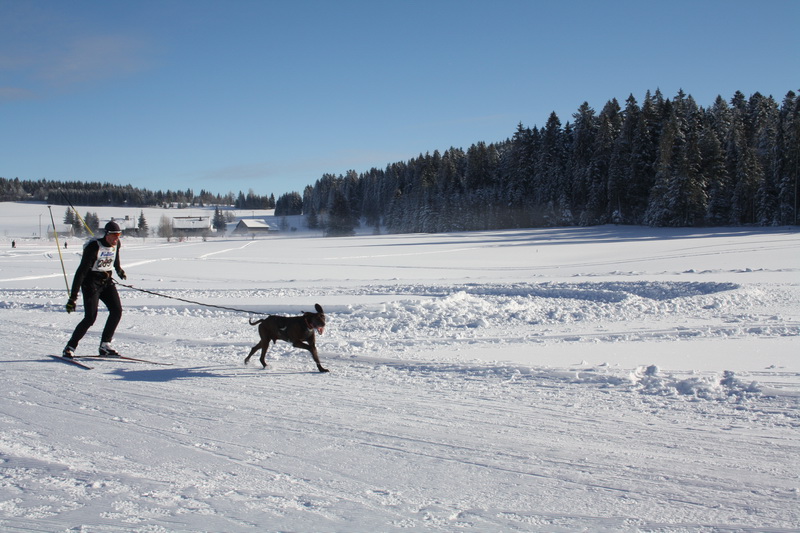 2eme jour chiens et soleil 008_mg