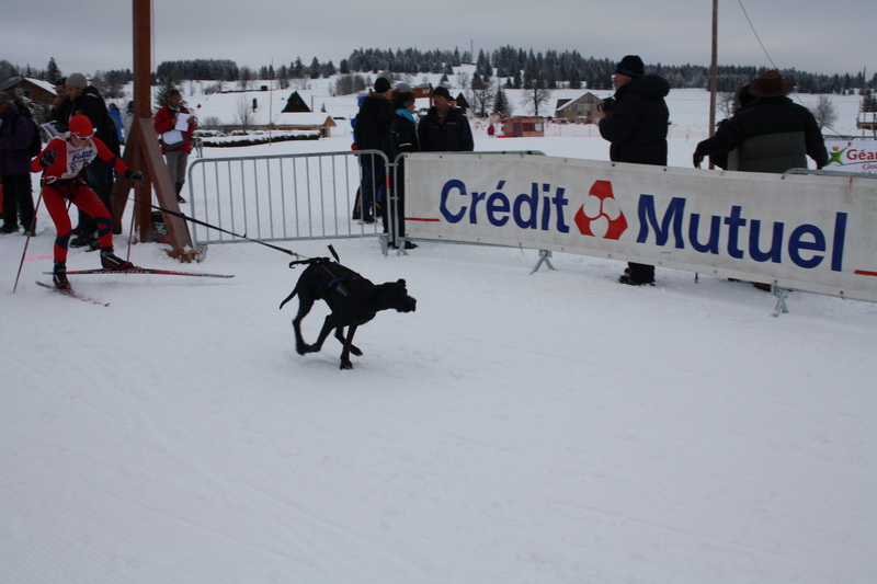 Neige et chiens 007_mg