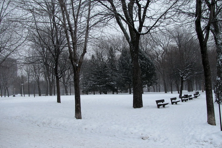 Parc lafontaine2_1_jc1