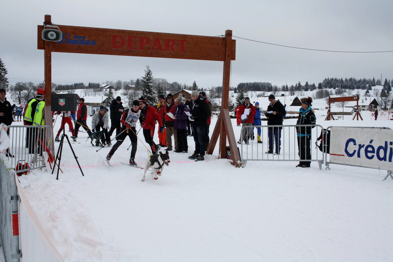 Neige et chiens 004_mg