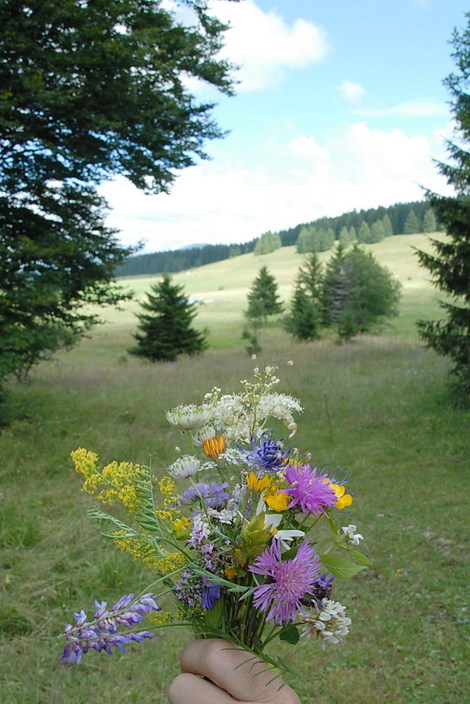 Dsc_0129_bouquet