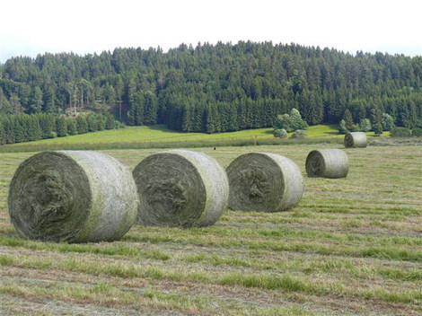 Juin2008_62