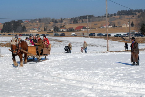 Dsc_0220_cheval_traineau