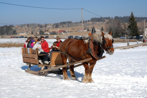 Dsc_0222_cheval_traineau