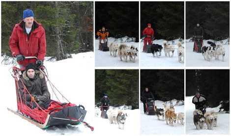 Planche_mushers_2