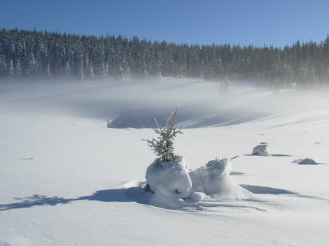 Brume_sur_doline_1_2