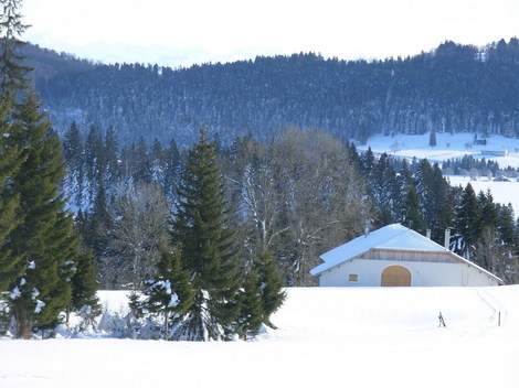 Chalet_des_prs_1