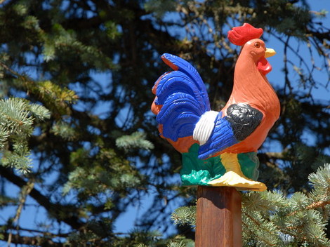 Dsc_0055_coq