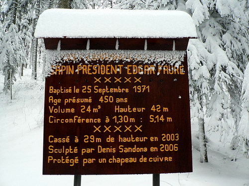 P1110902_panneau_sapin_president