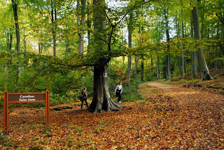 Parcs, sentes et forêt – Bois-Guillaume