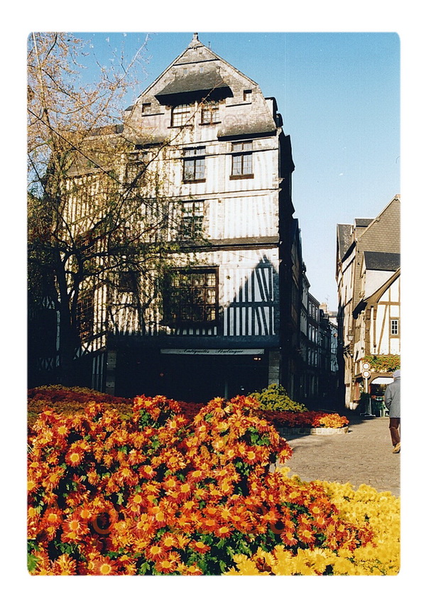 1996-11-01 rouen chrysantheme_3_2_mdc