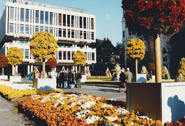 1991-11-01 rouen chrysantheme_6_md