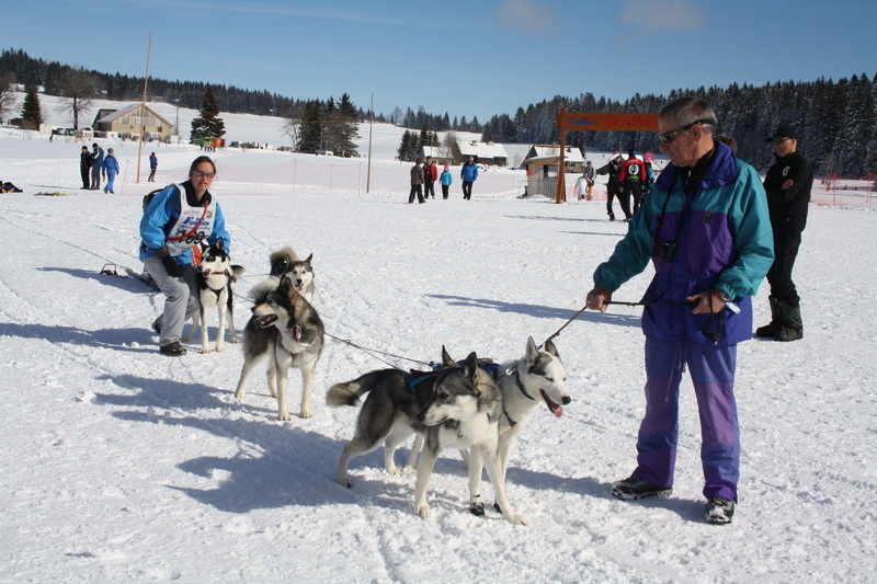 2eme jour chiens et soleil 026_md