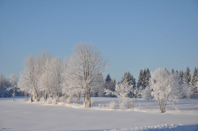 D90-01-02-10-46