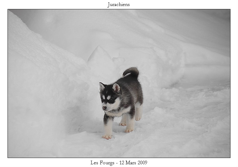 DSC_0079_2