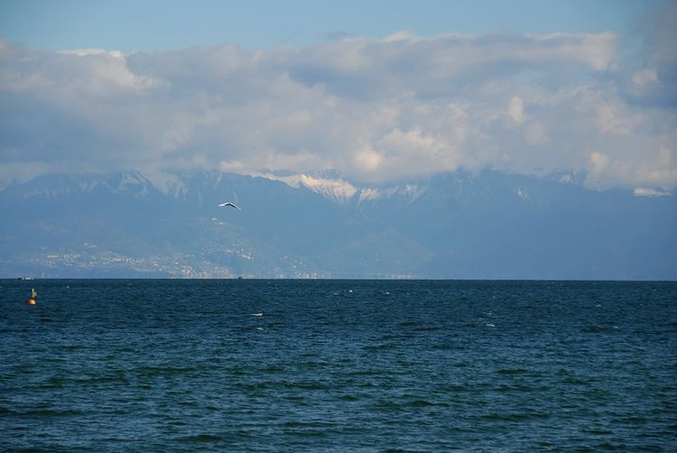 DSC_0010_md