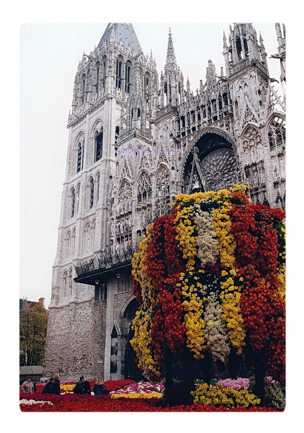 1994_11_00  rouen chrysanthemes 2