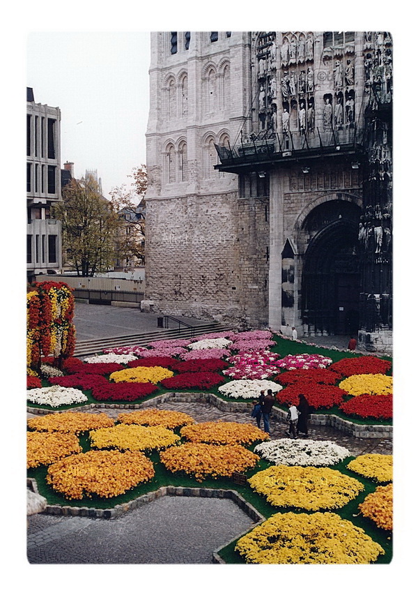 1994_11_00  rouen chrysanthemes 3