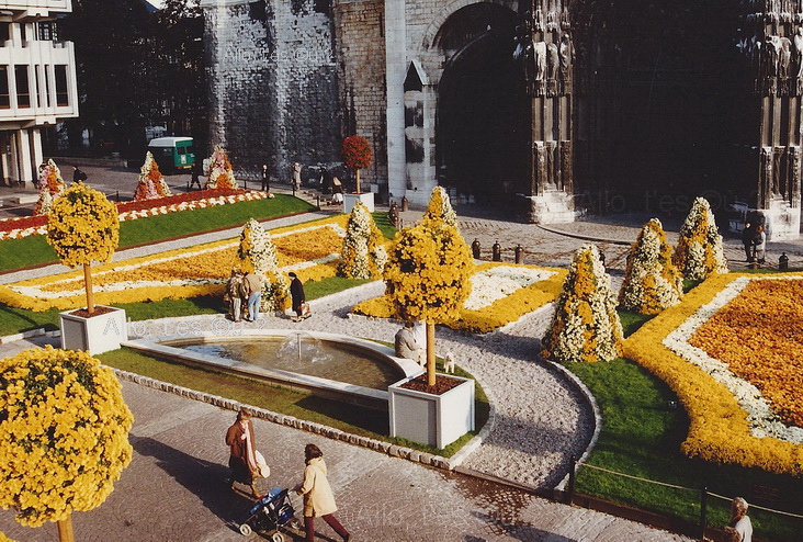 1991-11-01 rouen chrysantheme_2_md