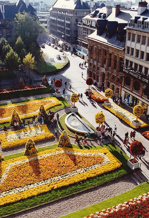 1991-11-01 rouen chrysantheme_1_md