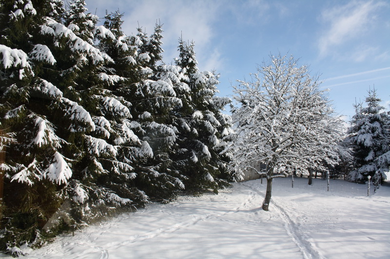 Neige du 1-12-12 003_mg