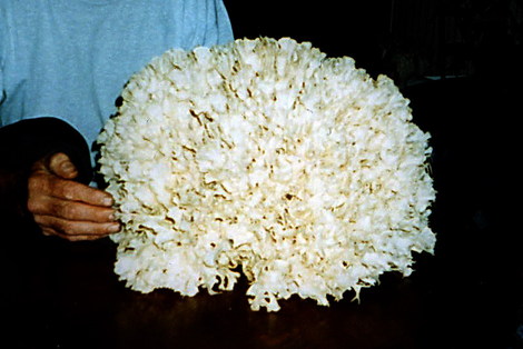 File0005_2 File0005_2