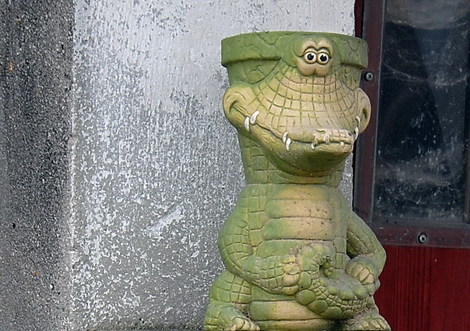 Dsc_0018_croco