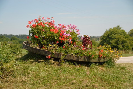 Dsc_0027_fleurs