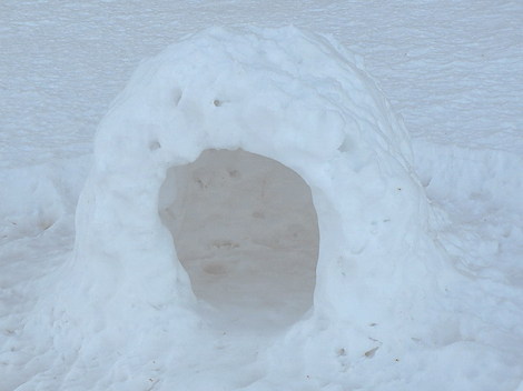 P1200164_igloo