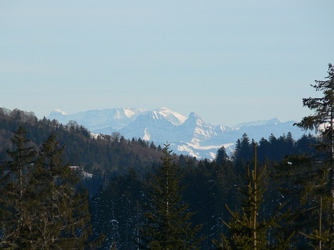 P1190717_vue_alpes_2