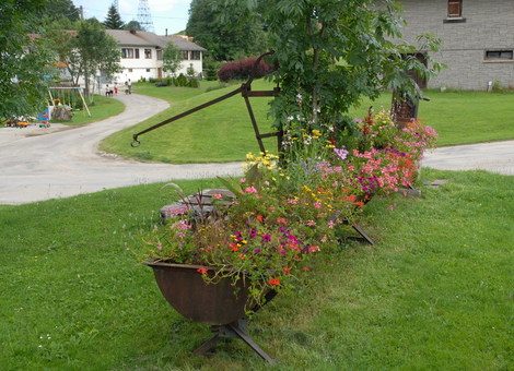 Dsc_0039_jardiniere_fleurs