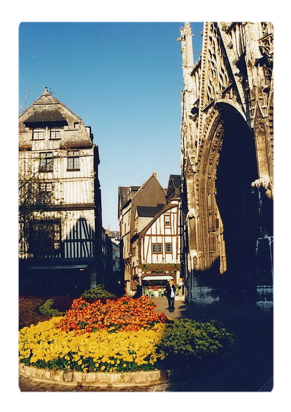 1996-11-01 rouen chrysantheme_1_2_mdc