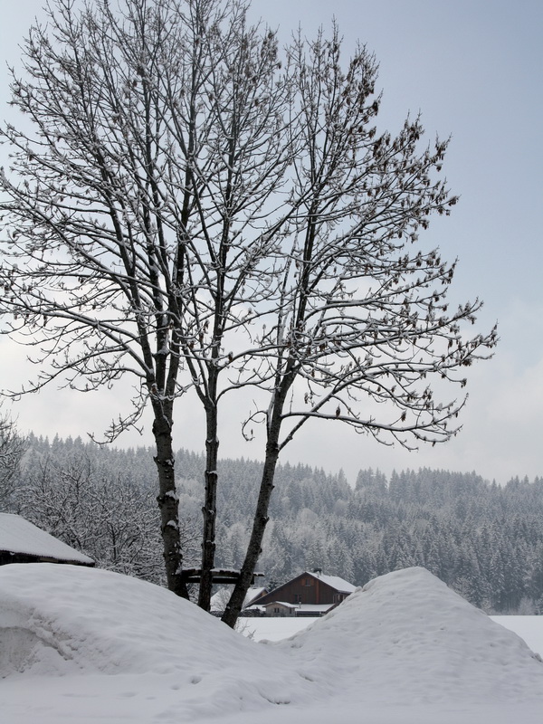 Montagnes de neige 009_1_mg