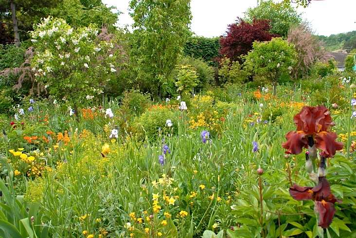 DSC_0205_giverny