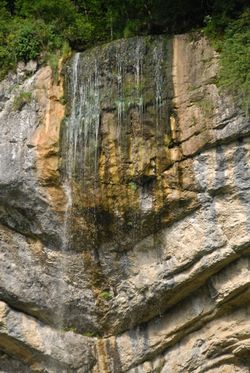 DSC_0252_chapeau_de_gendarme