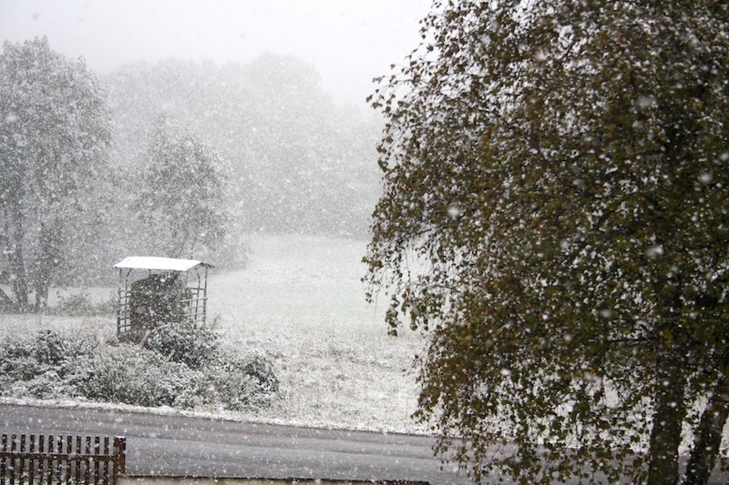 10 octobre,neige 002