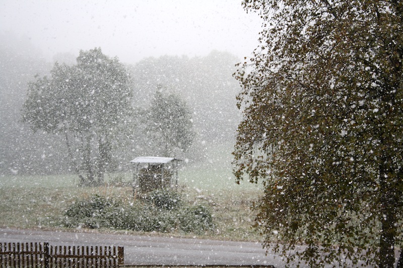 10 octobre,neige 001