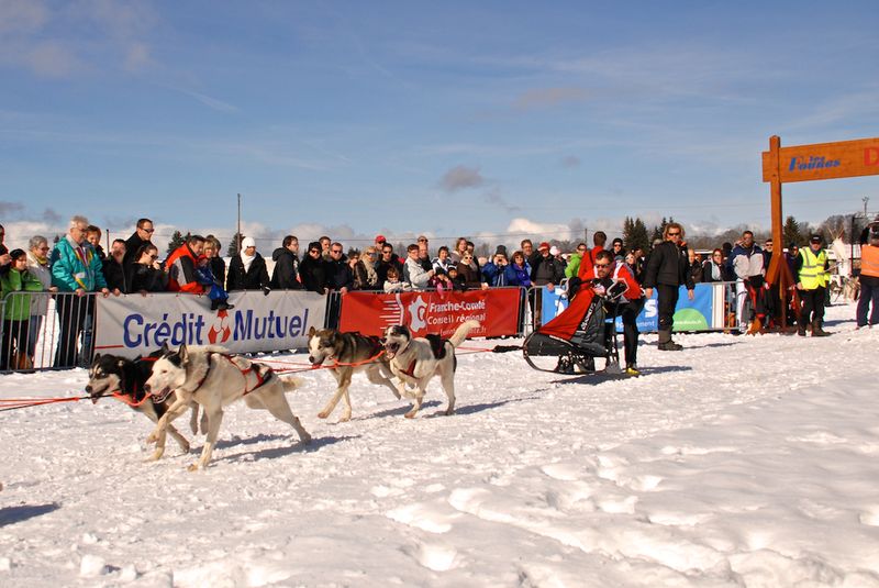 DSC_0070_depart chiens - copie