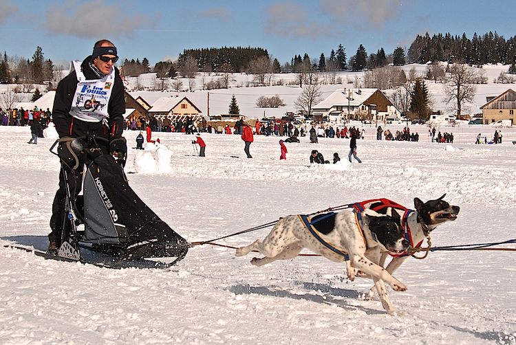 DSC_0152_depart chiens - copie