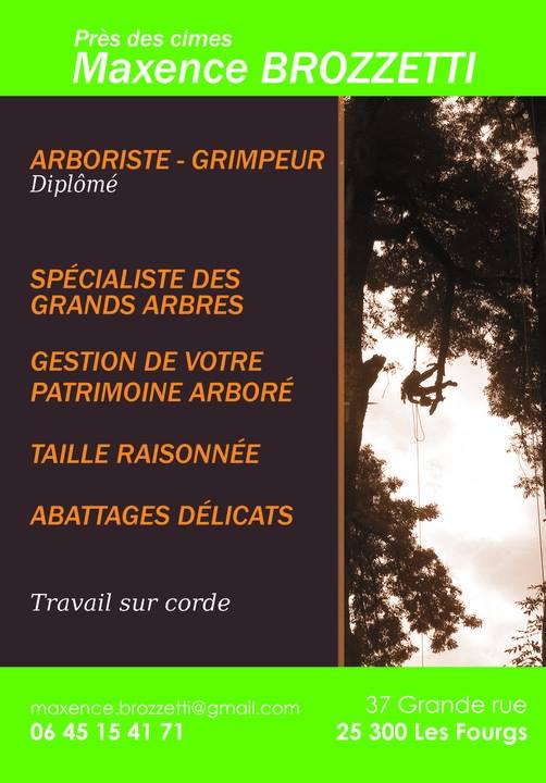 Arboriste grimpeur maxence