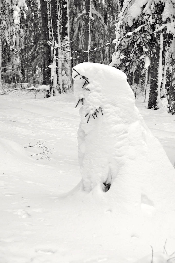 Neige_sapins_am_3 - copie