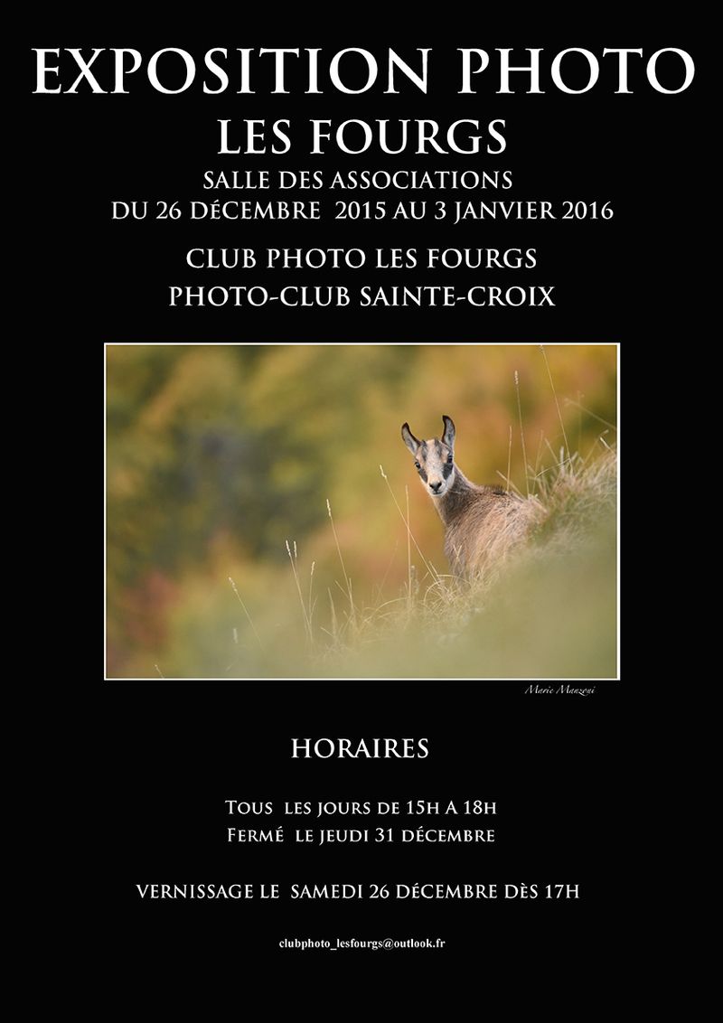 Affiche expo 2015_MM - copie