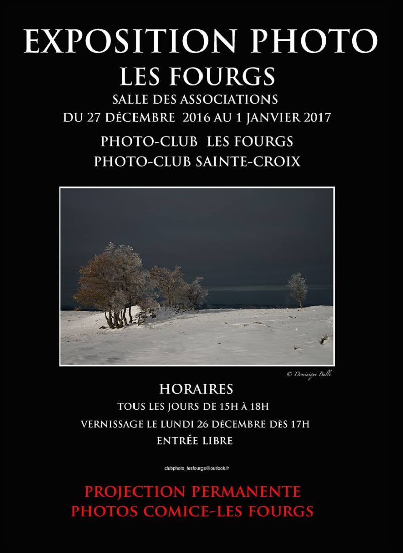 Affiche Expo Cub Photo