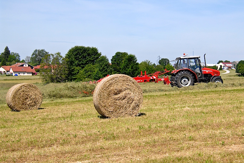DSC_0106 (1) 1 - copie