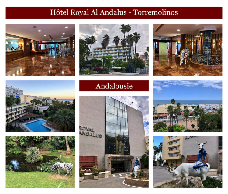 Hotel royal al andalus copie